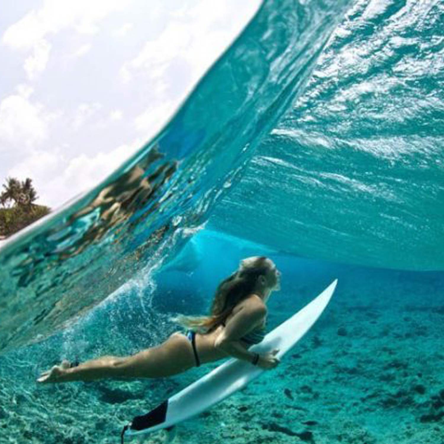 surf sunset